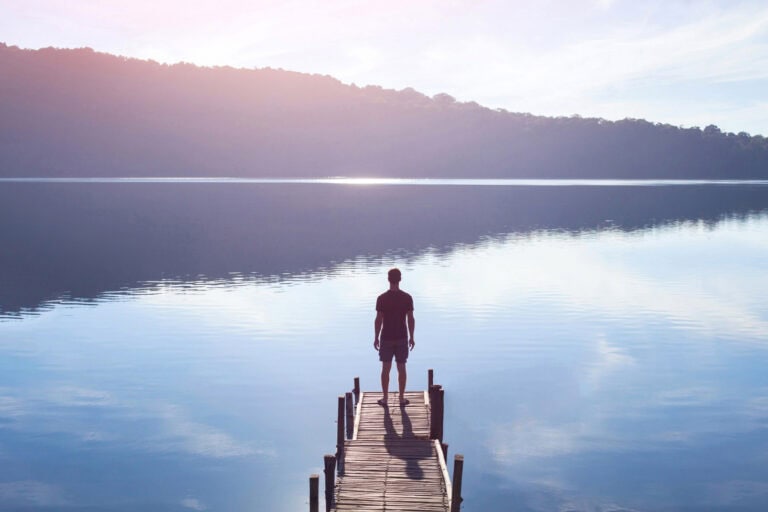 Immunity – Boosting It