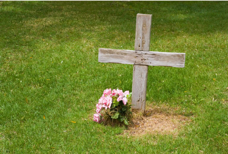 Vaccination and Death