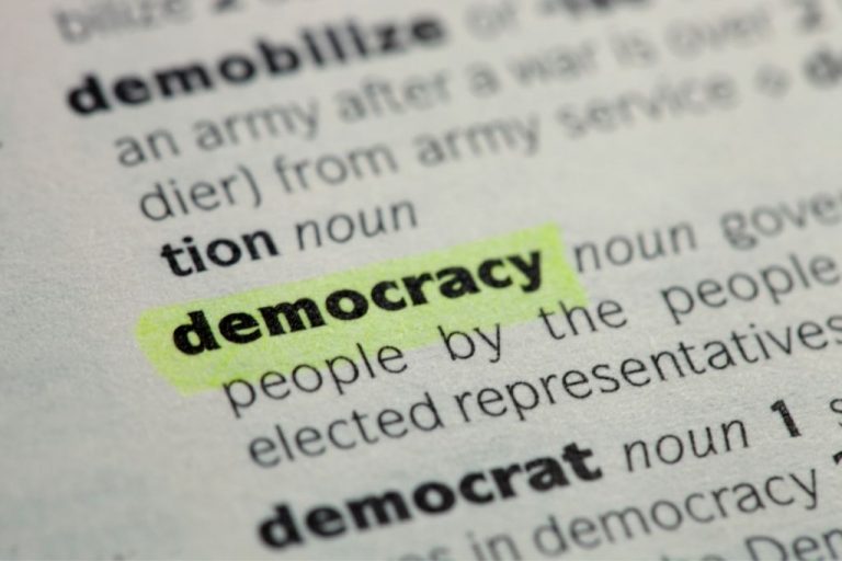 The Controlled Demolition of Democracy in New Zealand