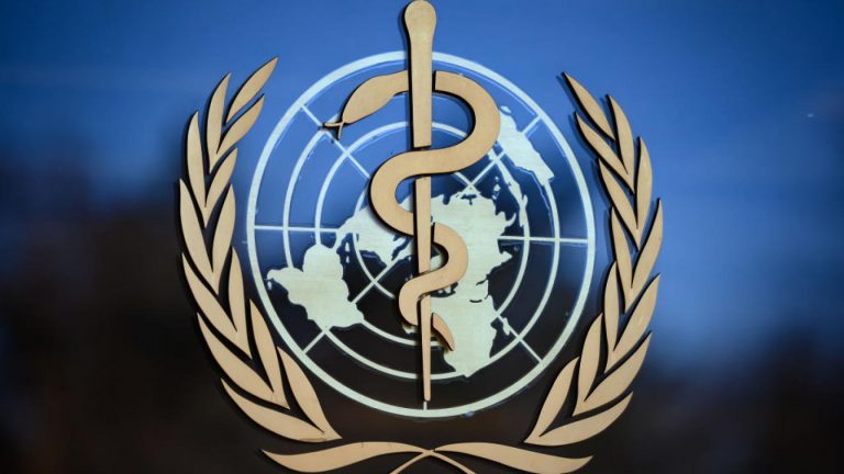 The WHO and the Pandemic Preparedness Treaty