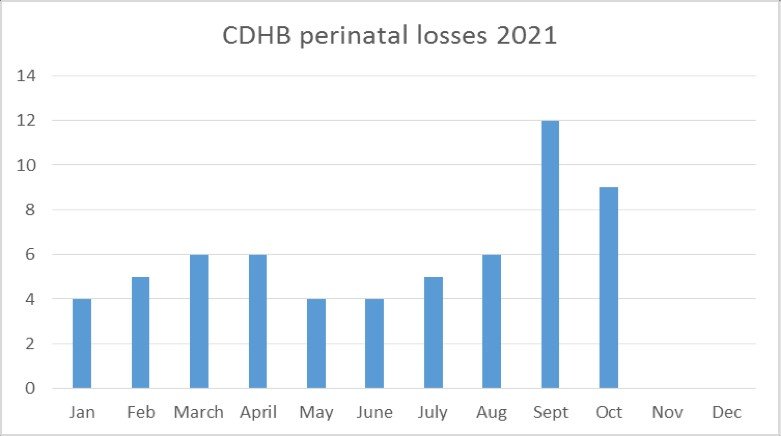 reproductive health CDHB perinatal losses