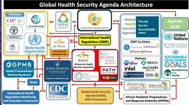 World Health Organization Hassan slide