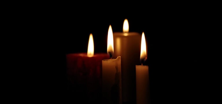 Who Will Speak Up For Our Suddenly Dying Young?
