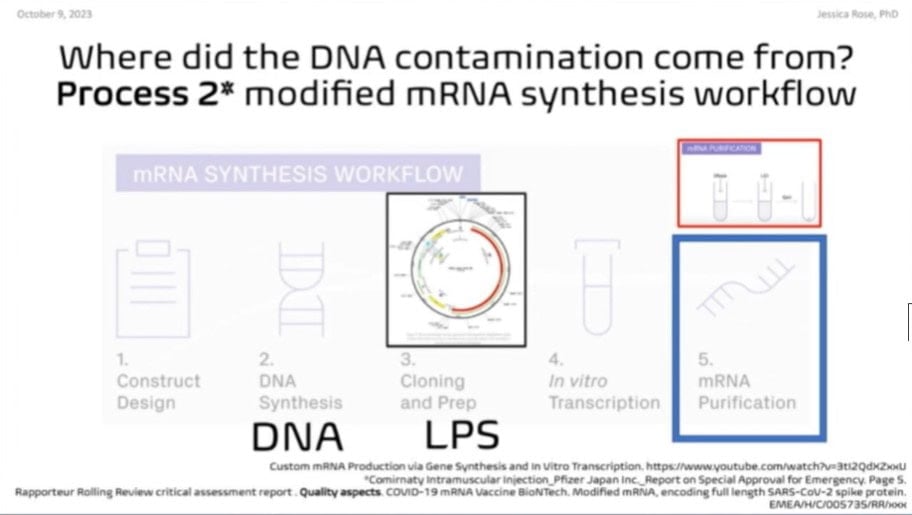 DNA contamination and LPS Jessica Rose