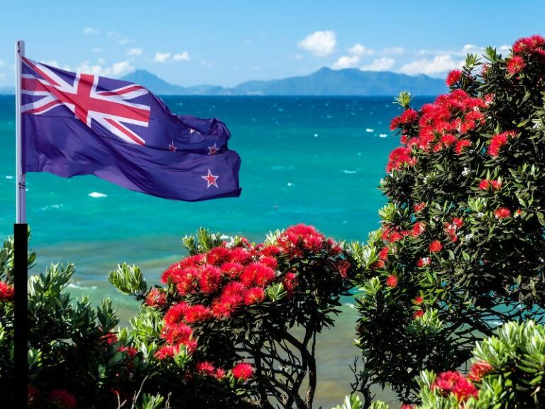 New Year Honours Kiwi Defenders
