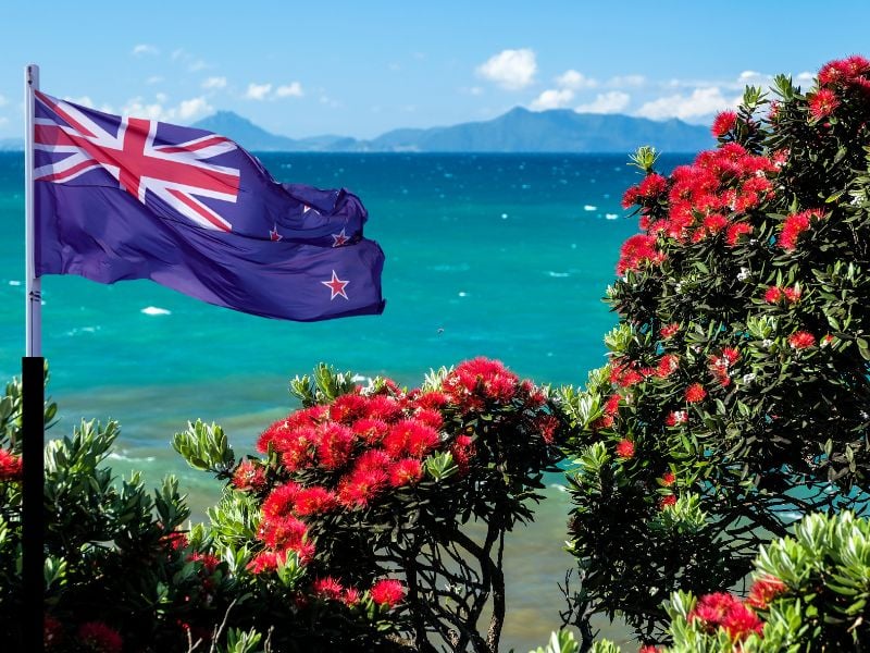 New Year Honours Kiwi Defenders