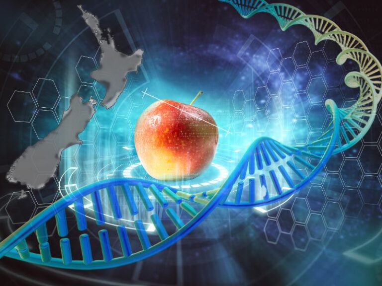 Gene Technology Bill New Zealand