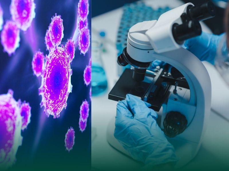 Read: Queensland Bureaucrats Prevented From Burying the Truth: World’s Largest Covid Biobank Saved