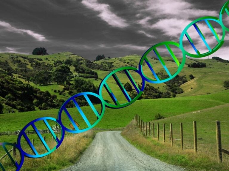 Gene Tech Bill New Zealanders Push Back