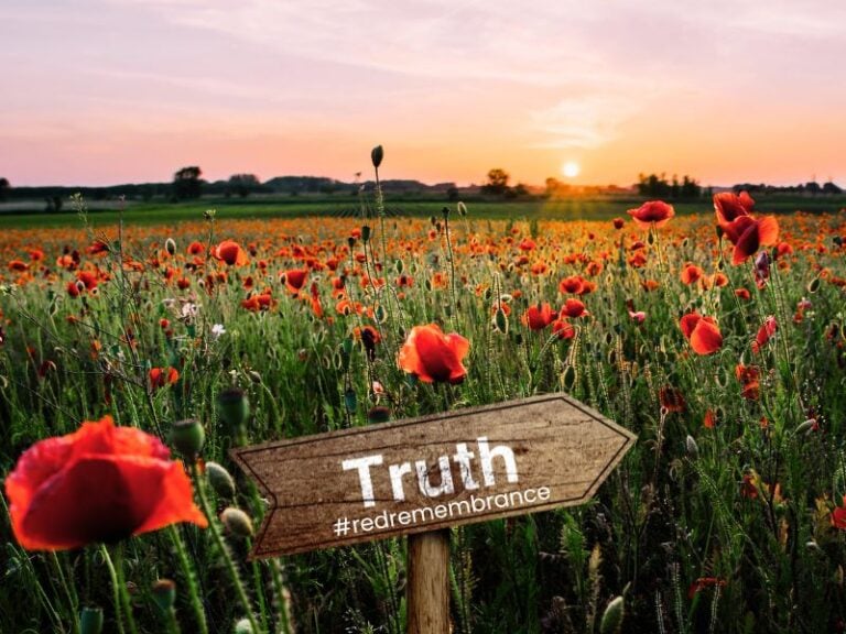 Red Remembrance Day 2025 Momentum of Truth