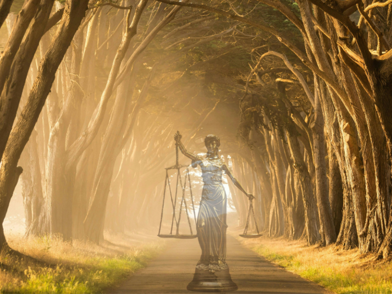 Pathway to Justice Accountability