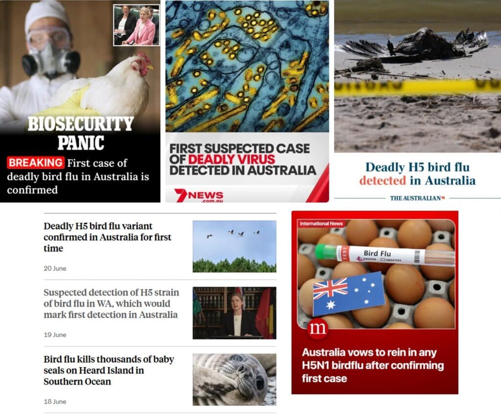 Bird Flu Headlines