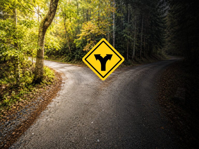 Hazardous Substances & New Organisms Act HSNO New Zealand Bill