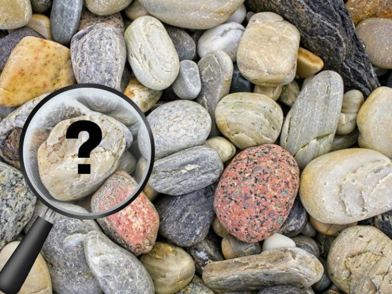 Pauline Hanna Coroner Inquest Truth New Zealand