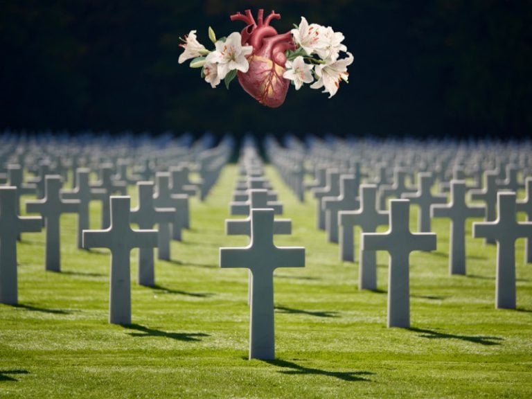Fatal Deaths Sudden Death Myocarditis New Zealand Unanswered questions